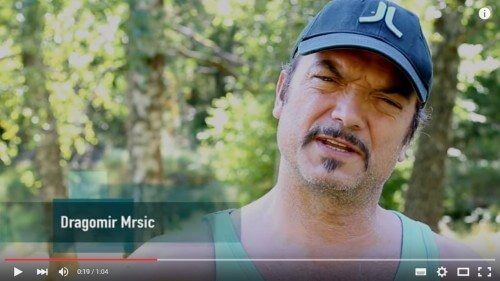 I SAY NO DRUGS - filmad intervju med Dragomir Mrsik - Droginformation.nu